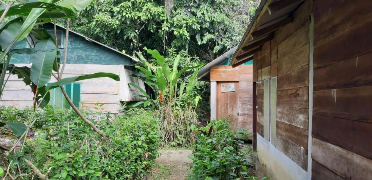 Centro Ecoturistico Ya'Ajche Lacanjá Exterior foto