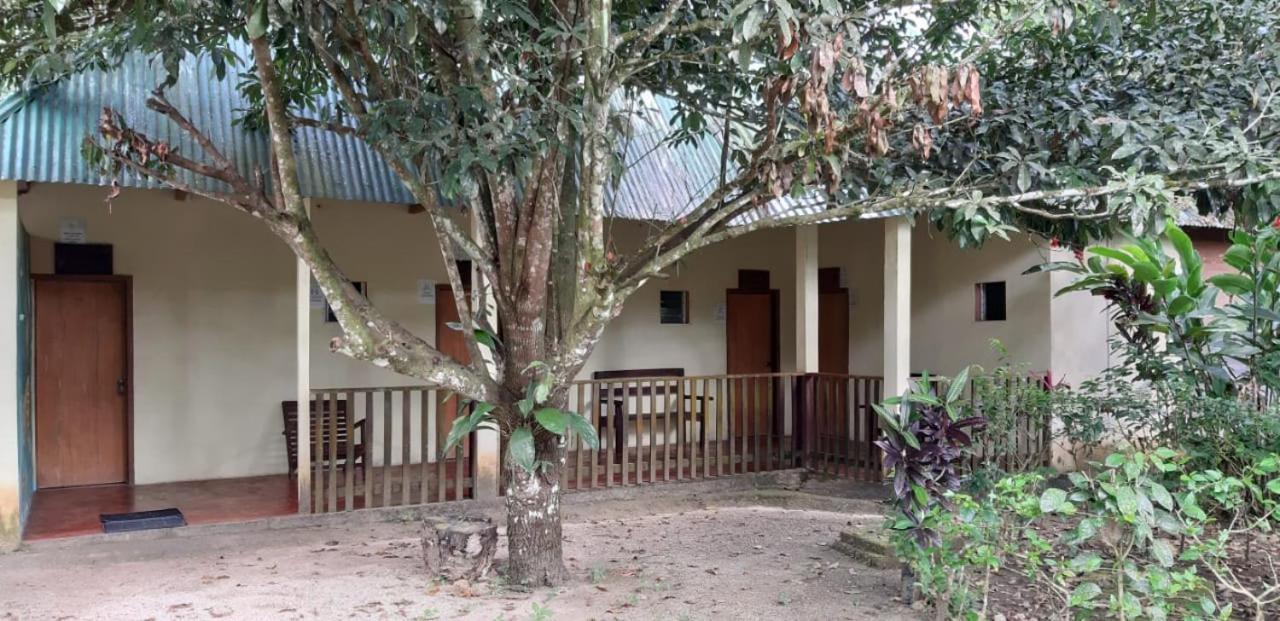 Centro Ecoturistico Ya'Ajche Lacanjá Exterior foto