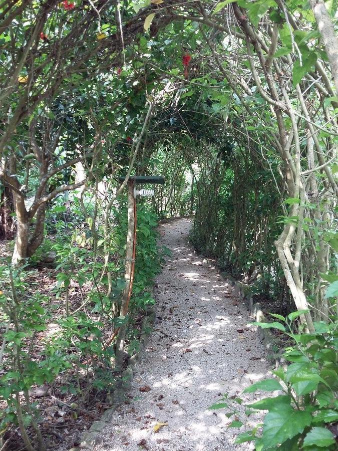 Centro Ecoturistico Ya'Ajche Lacanjá Exterior foto